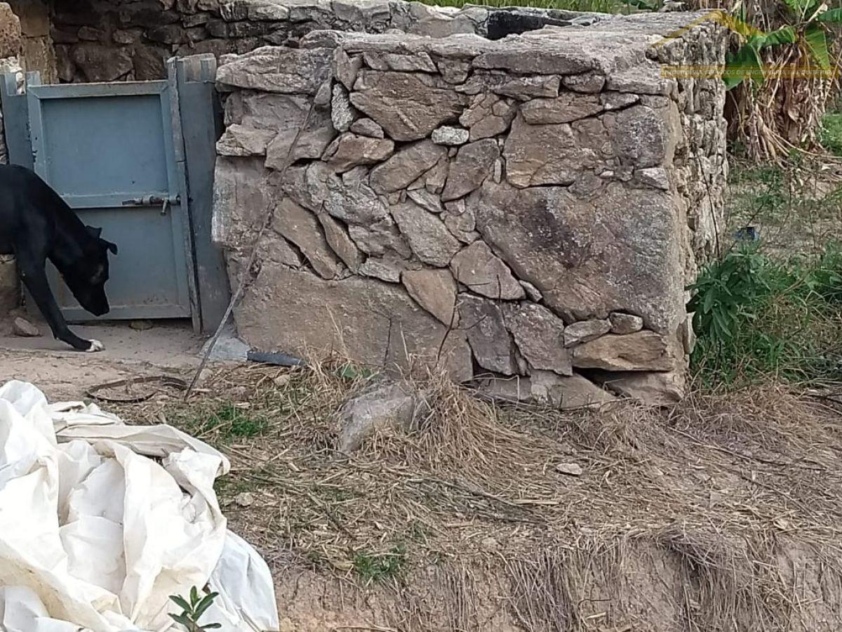 WhatsApp Image 2018-08-24 at 15.45.04 (2).jpeg